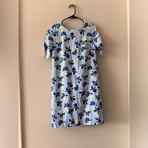Banana Republic blue floral dress
